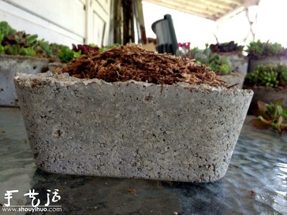 DIY多種多肉植物混搭的盆栽 -  rpnrmr.com