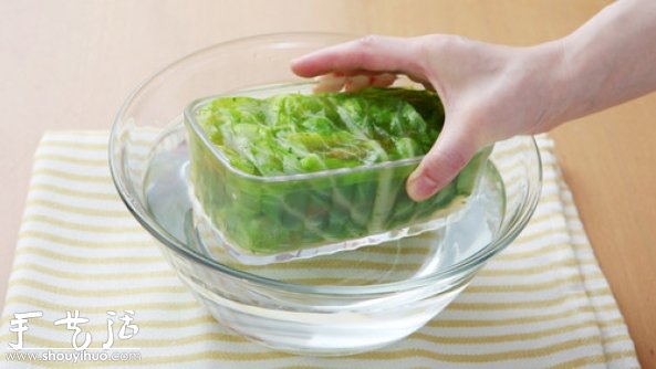 誘人可口蔬菜卷DIY，蔬菜卷的做法 -  rpnrmr.com