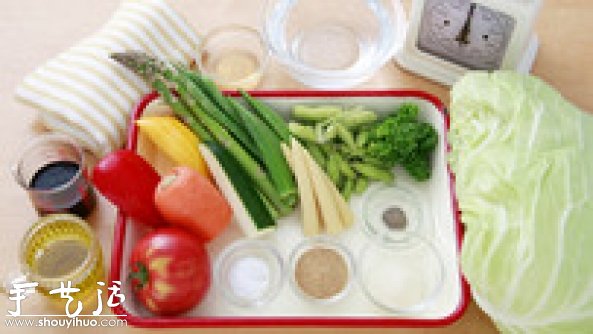 誘人可口蔬菜卷DIY，蔬菜卷的做法 -  rpnrmr.com