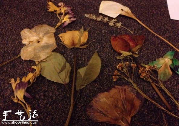 DIY干花裱框標(biāo)本，干花裱框標(biāo)本制作方法 -  rpnrmr.com