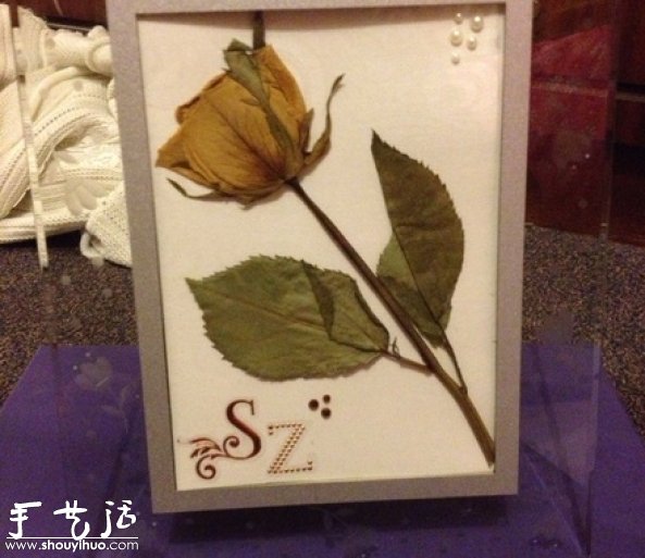 DIY干花裱框標(biāo)本，干花裱框標(biāo)本制作方法 -  rpnrmr.com