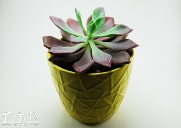 簡易攝影棚的手工DIY教程 -  rpnrmr.com