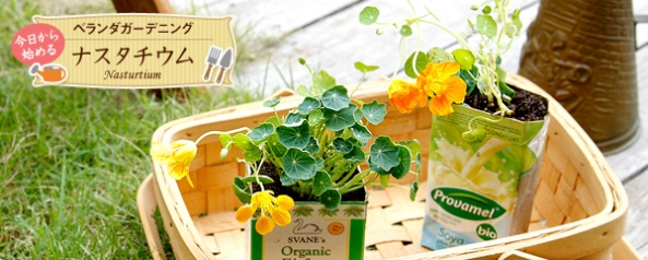 如何移栽花草 花草移植的方法 -  rpnrmr.com