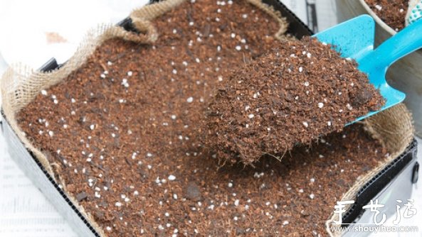 家庭迷你菜園的DIY教程 -  rpnrmr.com