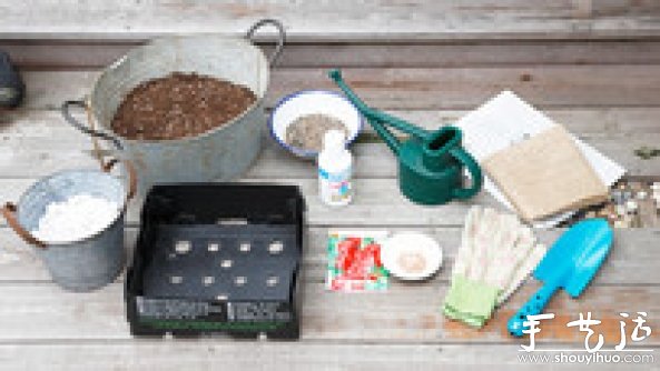 家庭迷你菜園的DIY教程 -  rpnrmr.com