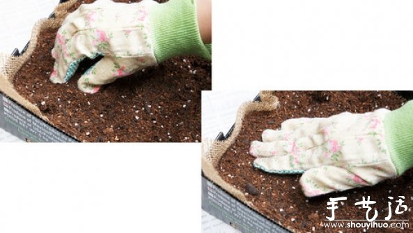 家庭迷你菜園的DIY教程 -  rpnrmr.com