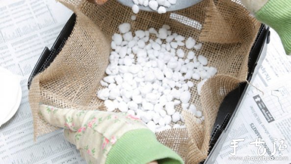 家庭迷你菜園的DIY教程 -  rpnrmr.com