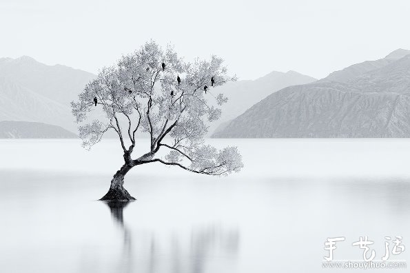 黑白攝影作品欣賞：《黑&白》 -  rpnrmr.com