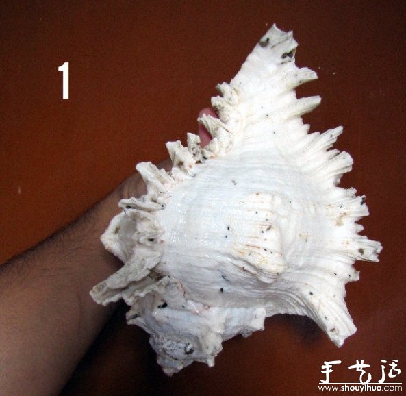 浪漫海螺吊燈手工DIY教程 -  rpnrmr.com