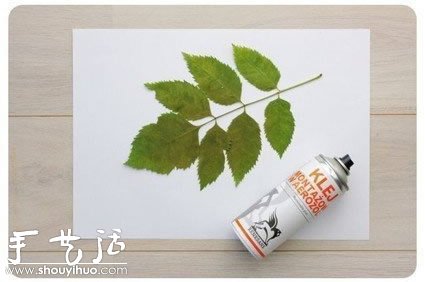 植物圖案裝飾畫創(chuàng)意DIY -  rpnrmr.com