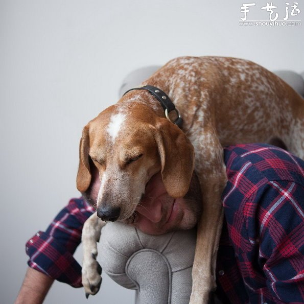 動物攝影：狗狗的有趣絕活兒 -  rpnrmr.com