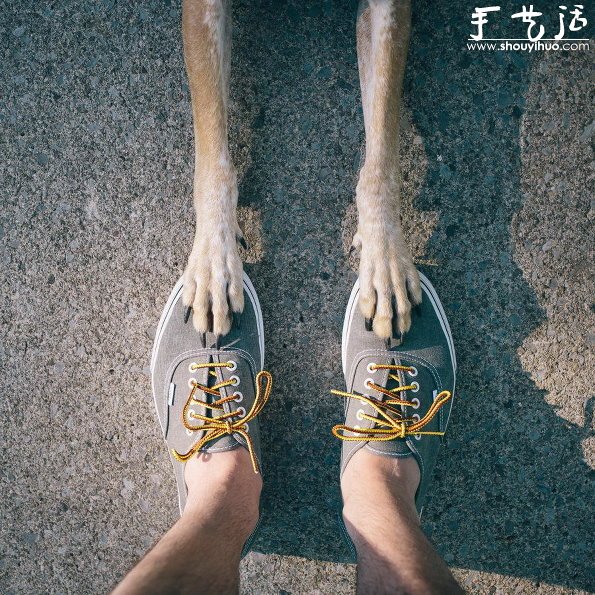 動物攝影：狗狗的有趣絕活兒 -  rpnrmr.com
