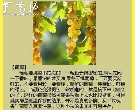 水果商的挑水果秘訣 -  rpnrmr.com