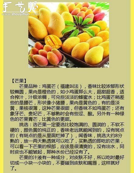 水果商的挑水果秘訣 -  rpnrmr.com