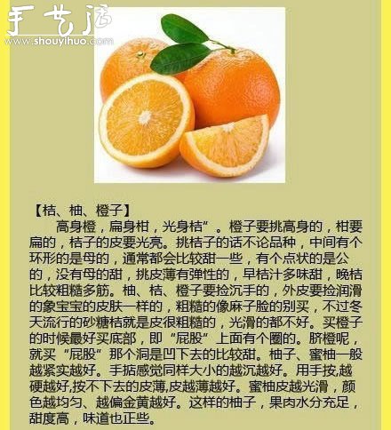 水果商的挑水果秘訣 -  rpnrmr.com