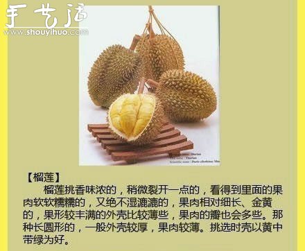 水果商的挑水果秘訣 -  rpnrmr.com