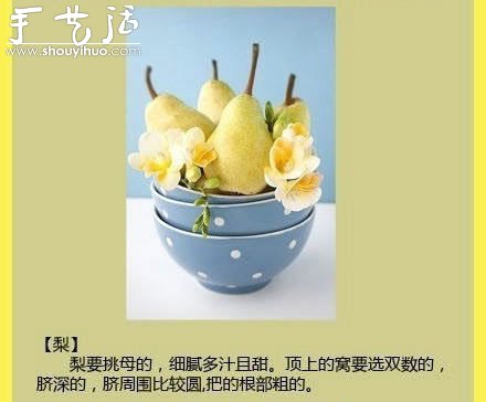 水果商的挑水果秘訣 -  rpnrmr.com