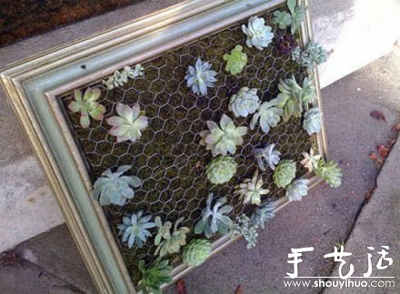 超強(qiáng)大的立體盆景DIY -  rpnrmr.com