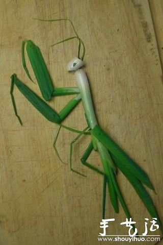 小蔥DIY的螳螂 -  rpnrmr.com