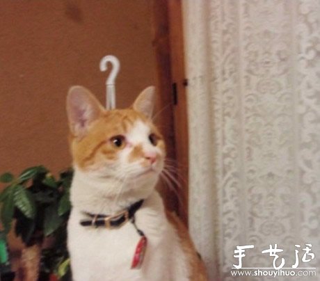 抓拍生活中的搞笑瞬間！ -  rpnrmr.com