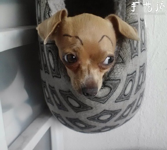 惡搞狗狗創(chuàng)意，給可愛(ài)的狗狗畫(huà)上眉毛 -  rpnrmr.com