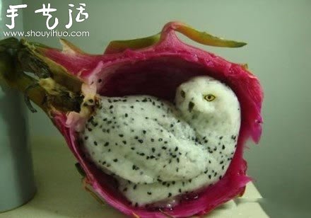 火龍果DIY的貓頭鷹 -  rpnrmr.com