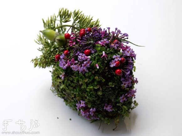 花草DIY的各種人體器官 -  rpnrmr.com