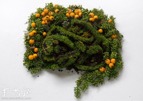 花草DIY的各種人體器官 -  rpnrmr.com
