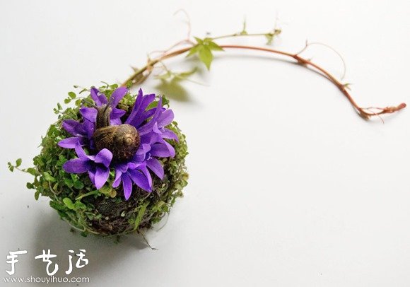 花草DIY的各種人體器官 -  rpnrmr.com