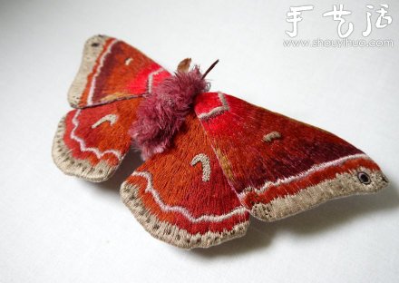布藝?yán)ハx：蝴蝶、蛾子、蚱蜢 -  rpnrmr.com