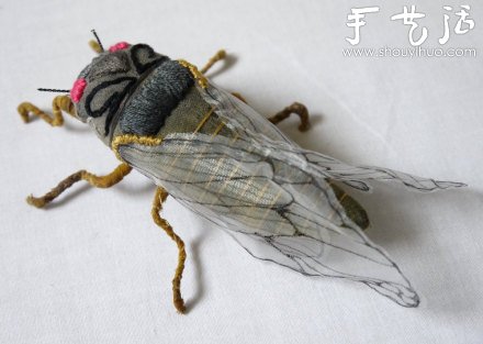 布藝?yán)ハx：蝴蝶、蛾子、蚱蜢 -  rpnrmr.com
