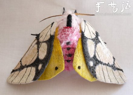 布藝?yán)ハx：蝴蝶、蛾子、蚱蜢 -  rpnrmr.com