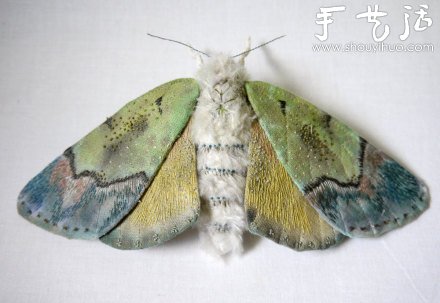 布藝?yán)ハx：蝴蝶、蛾子、蚱蜢 -  rpnrmr.com