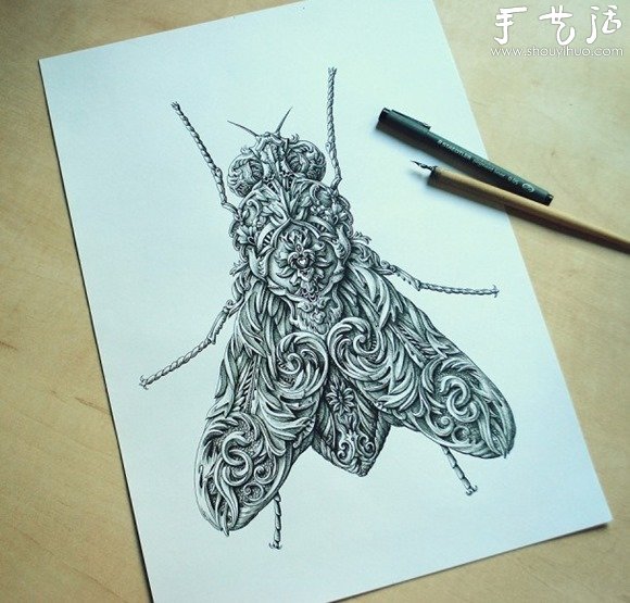 超細(xì)致的昆蟲手繪作品 -  rpnrmr.com