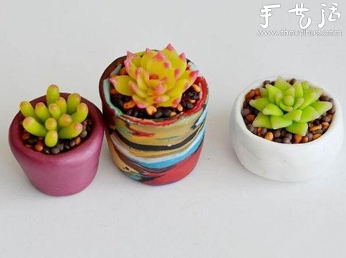 首飾泥DIY易打理的多肉植物盆栽 -  rpnrmr.com
