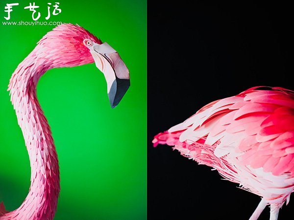 栩栩如生的鳥類紙藝作品 -  rpnrmr.com