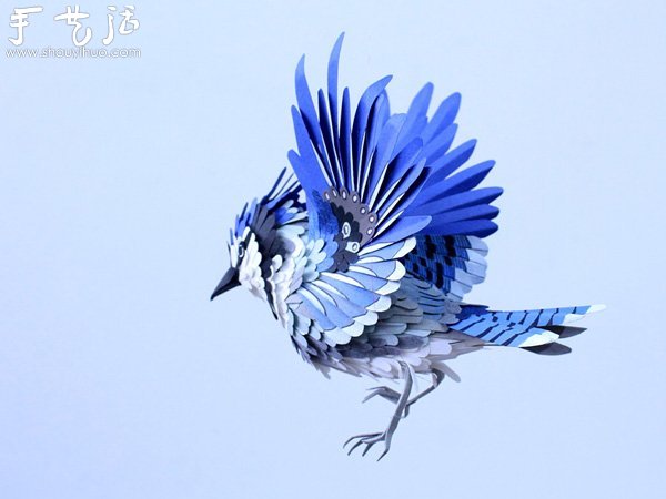 栩栩如生的鳥類紙藝作品 -  rpnrmr.com