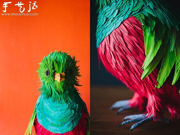 栩栩如生的鳥類紙藝作品 -  rpnrmr.com