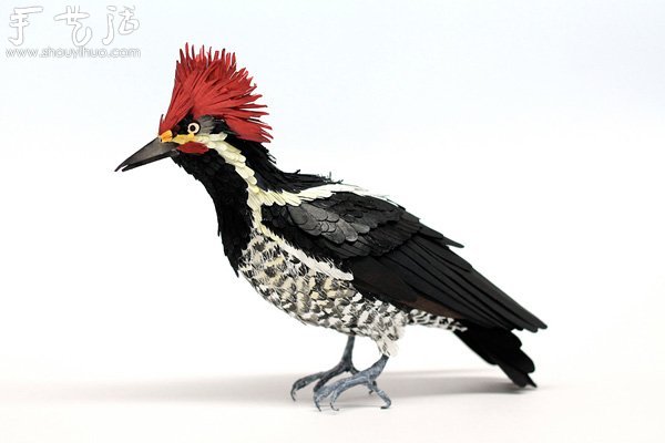 栩栩如生的鳥類紙藝作品 -  rpnrmr.com