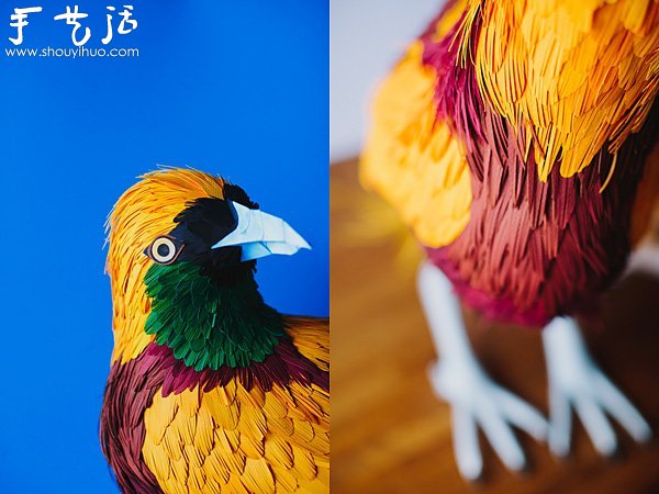 栩栩如生的鳥類紙藝作品 -  rpnrmr.com