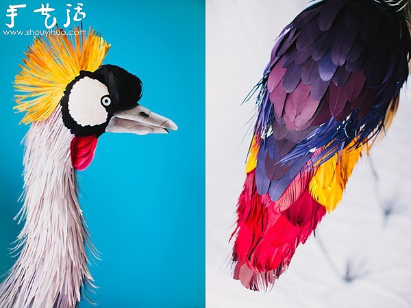栩栩如生的鳥類紙藝作品 -  rpnrmr.com