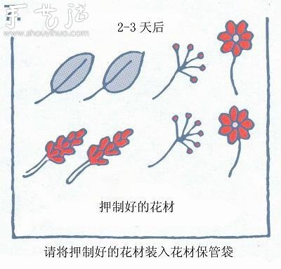 小清新押花相框的制作方法 -  rpnrmr.com