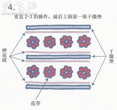 小清新押花相框的制作方法 -  rpnrmr.com