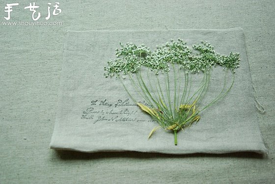 小清新押花相框的制作方法 -  rpnrmr.com