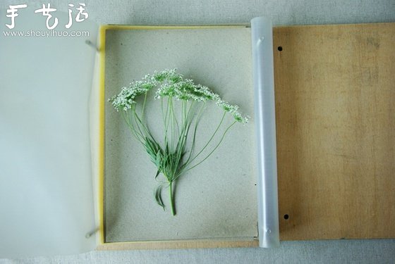 小清新押花相框的制作方法 -  rpnrmr.com