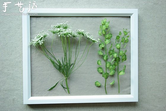 小清新押花相框的制作方法 -  rpnrmr.com