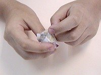 自制玩具小沙包 小沙包的制作和玩法 -  rpnrmr.com