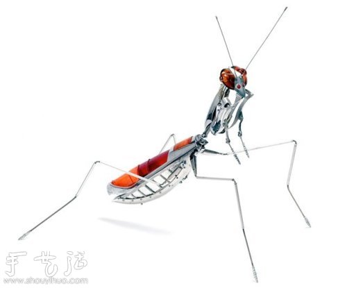 廢棄材料DIY的動物與昆蟲 -  rpnrmr.com