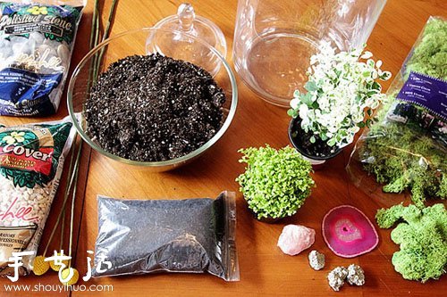 手工制作漂亮的迷你盆景 -  rpnrmr.com