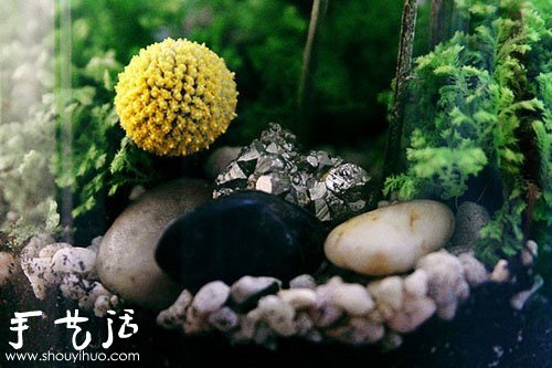 手工制作漂亮的迷你盆景 -  rpnrmr.com